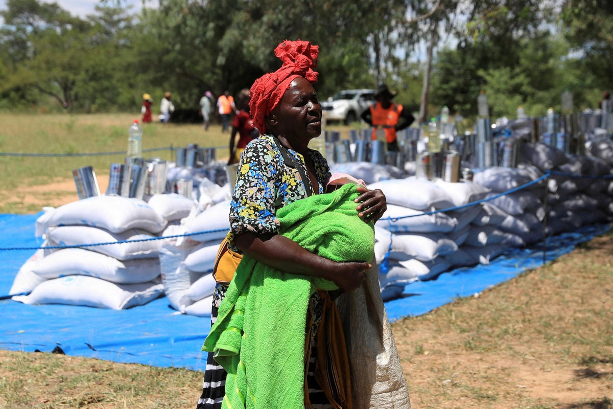 More than half of Zimbabwe's population will need food aid this year following a devastating drought that led to widespread crop failure. nation.africa/africa/news/mo…