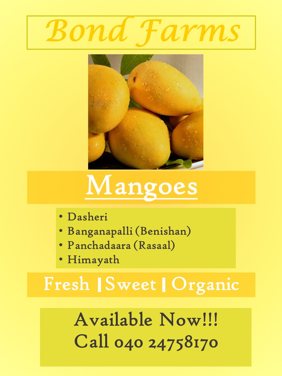For folk looking for Organically grown farm fresh mangoes ,ripened on the tree please contact Bond farms 04024758170 between 11am to 8 pm or WhatsApp 9100180669.