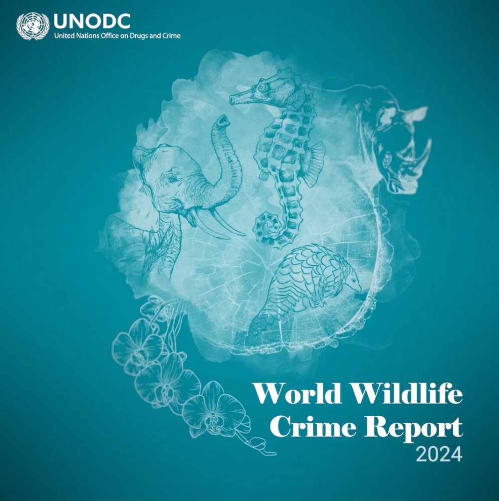 Wildlife crime is often linked to powerful organized crime groups involved in various illegal activities.

To protect fragile ecosystems like the Amazon and the Golden Triangle, we need a strategy to combat organized crime.

Learn more: shorturl.at/jHNT7