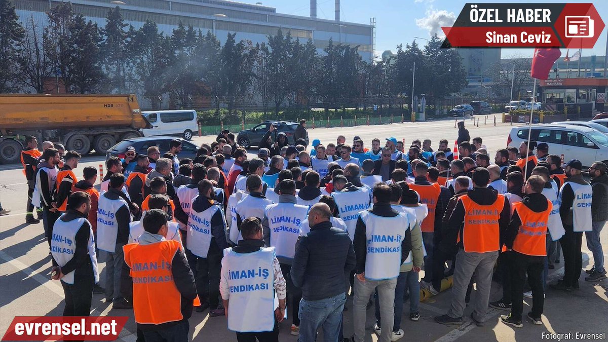 Borusan’da orkestra çalışanlarını liman iş koluna kaydırdılar “Bizi dava açmaya zorluyor. Davalar üç dört yıl sürüyor. Planları süreci soğutup bir tane sendikalı işçi bırakmamak' Sinan Ceviz'in haberi evrn.sl/s9huak