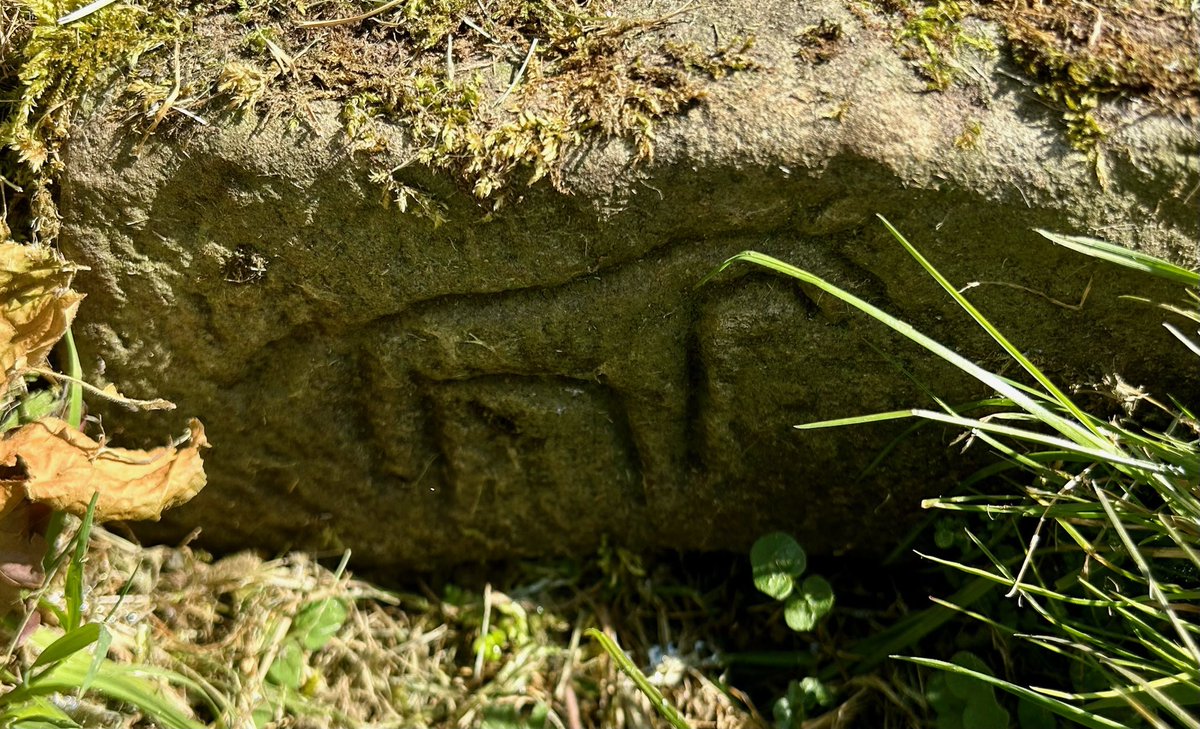 The graffito of a horse at Birdoswald Roman Fort on Hadrian’s Wall in Cumbria. The horse is carved into one of the stones at the base of the remains of the drill hall - easy to miss! #RomanFortThursday #RomanBritain 📸 My own.