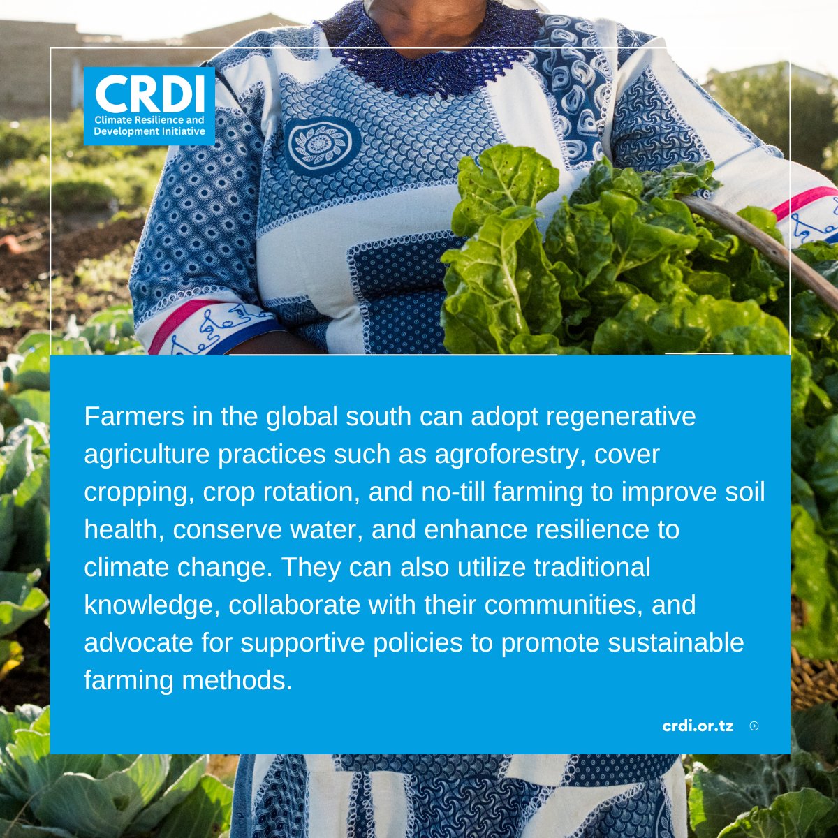 Farmers in the global south can adopt regenerative agriculture practices.
#RegenerativeAgriculture #GlobalSouthFarmers #SustainableFarming #Agroforestry #CoverCropping #CropRotation #NoTillFarming #WaterConservation #ClimateResilience #TraditionalKnowledge #CommunityCollaboration
