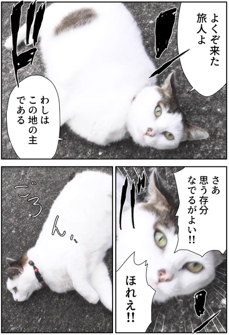 近所の猫を漫画にした 