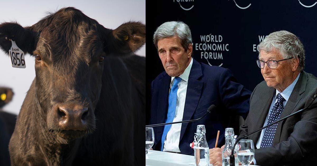 Hochkarätige Studie bestätigt: Kühe verursachen keinen “Klimawandel

Eine bahnbrechende neue Studie hat die Behauptung der Globalisten widerlegt, dass die Emissionen von Kühen den “Klimawandel” verursachen, und gleichzeitig bewiesen, dass Rinderherden tatsächlich den Methangehalt