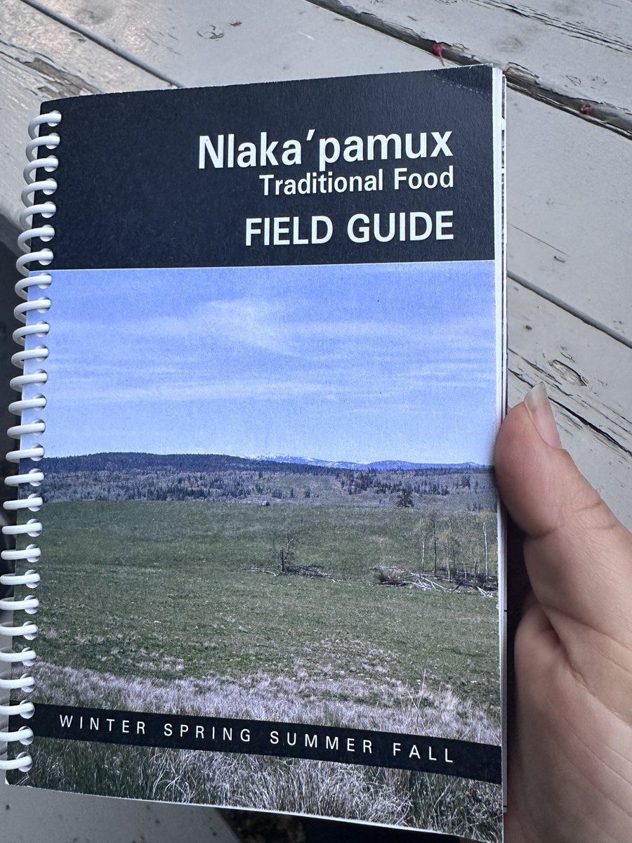 My heart is so full. Sleeping on my territory next to the Thompson River at language fluency camp where I get to teach alongside my Elders about our plants and stewardship. For so long this was something only in my dreams. #nativesinstem #ecology