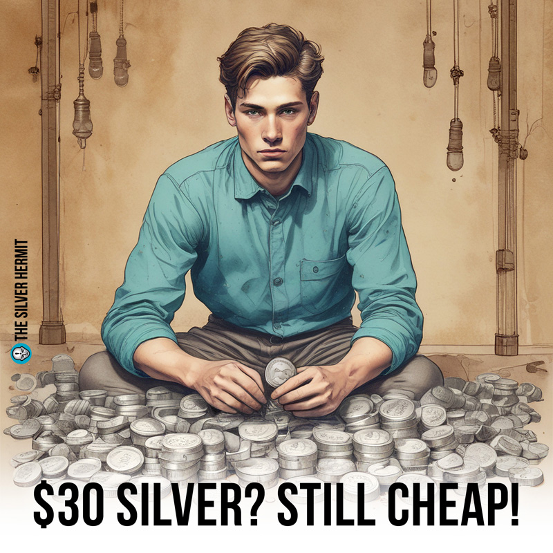 $30 Silver? Still cheap!

#Silver #Silversqueeze #Commodities #inflation