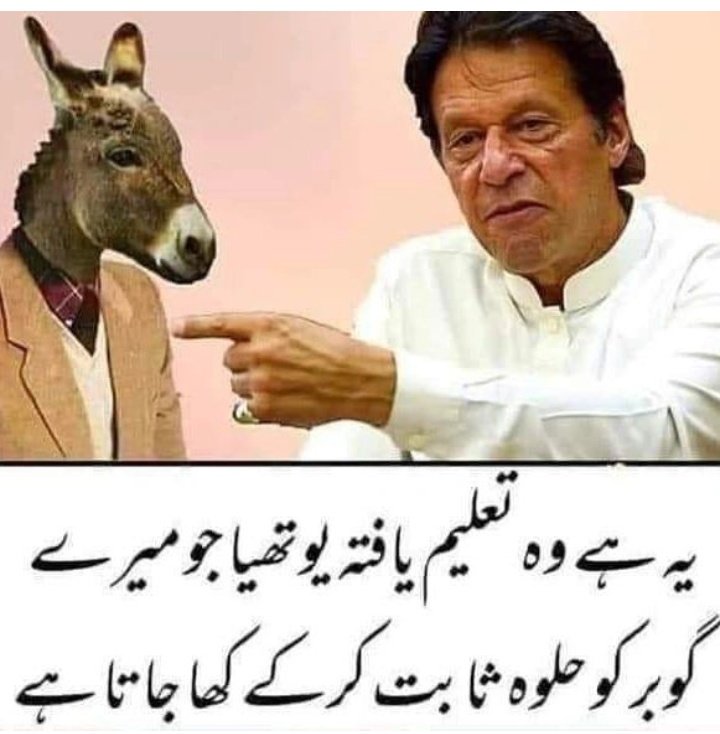 کون کون اس بات پر متفق  ہے خان نے اصل یوتھیے کی پہچان  کروائ ہے 👌👌👌👍👍