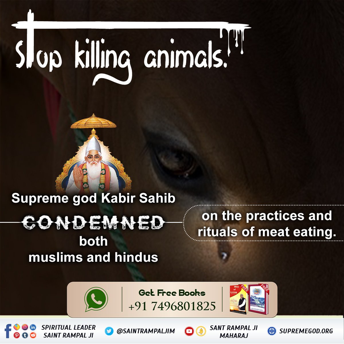 #रहम_करो_मूक_जीवों_पर
God Kabir ji has said to have compassion for both the religions (Hindu and Muslim). Take my point that there is only one speaker in pig and cow, that is, there is only one living creature. That's why don't eat meat.
#GodMornimgThursday