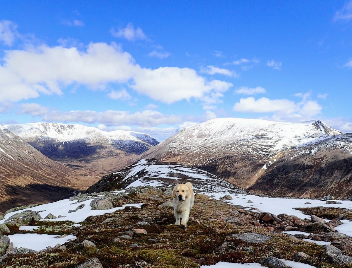 📢 it's #ThrowbackThursday to this day 5 years ago 2019 at the #Cairngorms Have a great day ahead frens 🥰