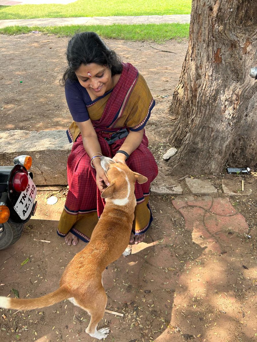 Making friends with them is the easiest. That's how random dogs come to me & 99.99 % are friendly. The grumpy ones just go off. Thanks to @PantryCar for clicking this in darasuram.