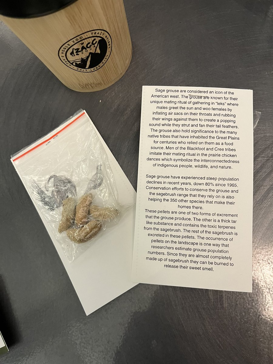 The weird freebies you get at zoo conferences: burnable sage grouse poop! #zacc2024