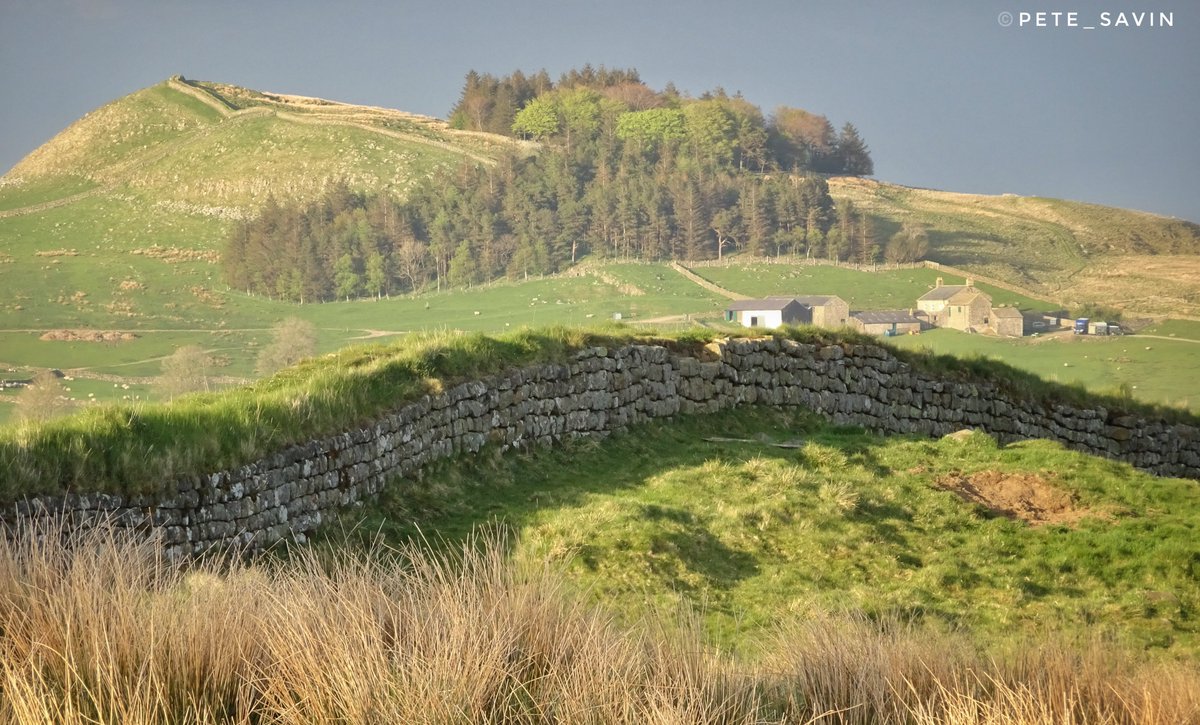 pete_savin's tweet photo. A view of #HadriansWall at Steel Rigg with Hotbank Farm beyond looking to the wall as it climbs eastward https://t.co/14mLCaUerb