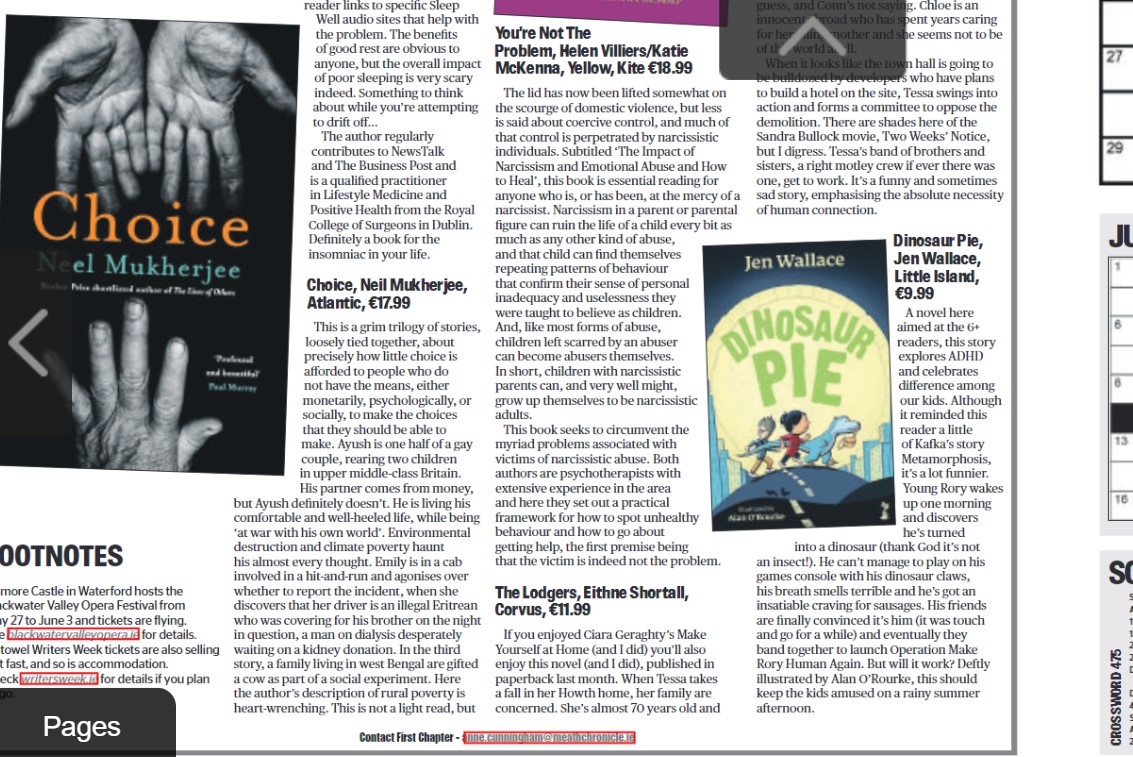 Reviews of Eithne Shortall's The Lodgers, Neel Mukherjee's Choice, Fiona Brennan's Sleep Well, H Villiers' & K McKenna's You're Not the Problem & Jen Wallace's Dinosaur Pie in this wk's papers @GillHessLtd @LittleIslandBks @ElaineEgan_ @Gill_Books