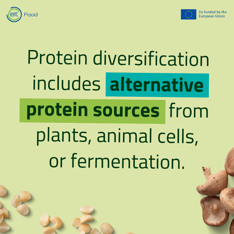 EITFood's tweet photo. Global meat consumption is soaring, set to double by 2050 according to the UN.π₯
#ProteinDiversification offers a sustainable solution, reducing environmental impact & zoonotic disease risks, feeding more with less.
Which innovative #AlternativeProtein products excite you most?
