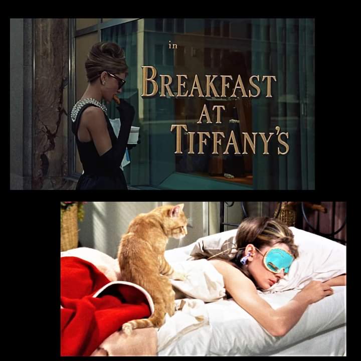 Sabato #18maggio alle 19 alla libreria Rebecca (via Pantaneto 132 #Siena) ALTA FEDELTÀ si dedica a New York con “Colazione da Tiffany”, il romanzo di Truman Capote del 1958, trasposto al cinema nel 1961 da Blake Edwards, con Audrey Hepburn e George Peppard.
Evento gratuito.