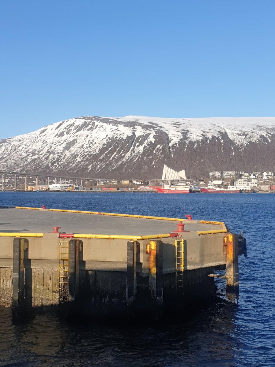 Bon dia‼️

Avui Tromsø ja està rebent 22 hores i 46 minuts de llum directa del Sol. L'arribada del Sol de Mitjanit és imminent 😻

A Cap Nord ja va arribar-hi l'11 de maig. Quant més al nord, més dies de Sol de Mitjanit 🇳🇴