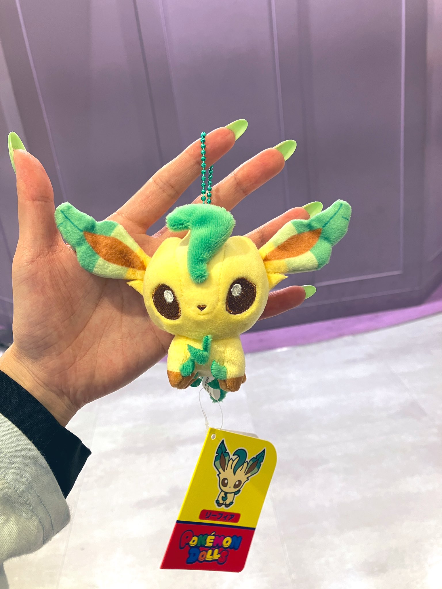 【タグ付】 ポケモンドールズ ブラッキー リーフィア ぬいぐるみ タグ付】 ポケモンドールズ ブラッキー リーフィア ぬいぐるみ