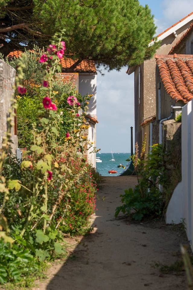 ILE DE NOIRMOUTIER 💙💙💙💙💙💙💙