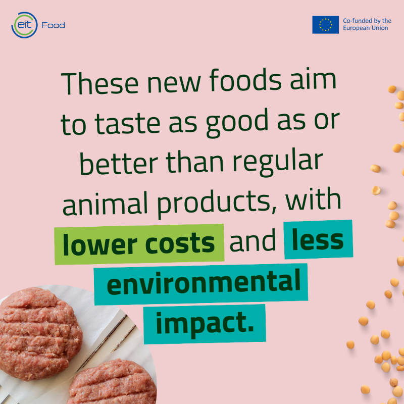 EITFood's tweet photo. Global meat consumption is soaring, set to double by 2050 according to the UN.π₯
#ProteinDiversification offers a sustainable solution, reducing environmental impact & zoonotic disease risks, feeding more with less.
Which innovative #AlternativeProtein products excite you most?
