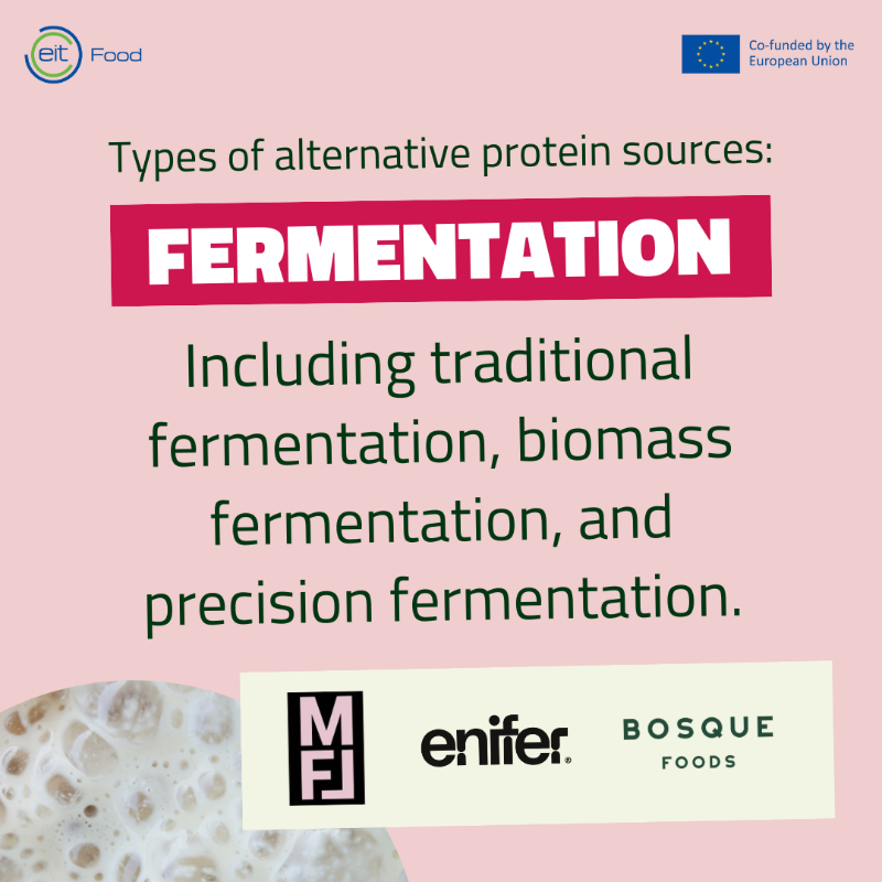 EITFood's tweet photo. Global meat consumption is soaring, set to double by 2050 according to the UN.π₯
#ProteinDiversification offers a sustainable solution, reducing environmental impact & zoonotic disease risks, feeding more with less.
Which innovative #AlternativeProtein products excite you most?