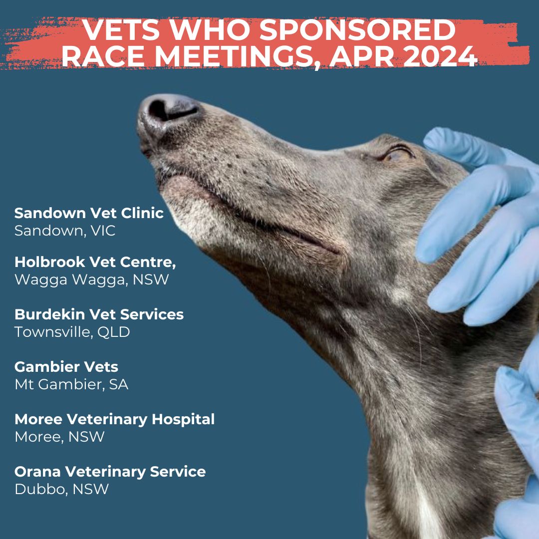 It's hard to believe any vet would sponsor greyhound racing. 18 dogs died racing in Apr 24, one of the deadliest months on record. Some deaths occurred at tracks sponsored by these vets. It's also likely that some of these vets offer the inhumane breeding technique surgical AI.