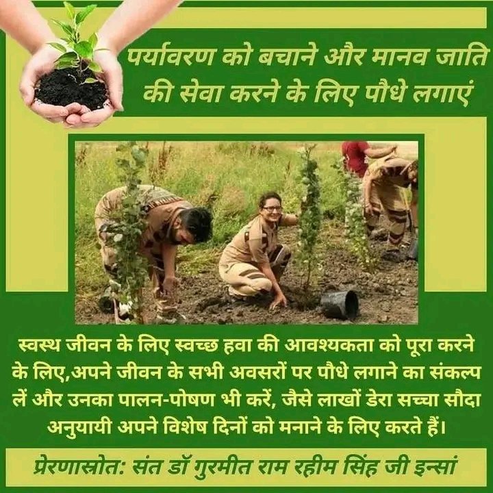 #GoGreen Excessive use of resources by humans causes significant changes in nature.'Nature Campaign'was started by Sant Ram Rahim Ji.Under this campaign, till now the volunteers of Dera Sacha Sauda have planted more than four crore trees and they are also conserved successfully.