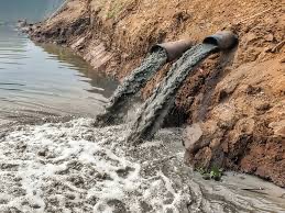 10,000 sewage pipes up and down the country aren’t being monitored at all…

And Tory MPs faced a three-line whip to vote against tighter controls remember.

A vote for the Tories is a vote for E. coli.