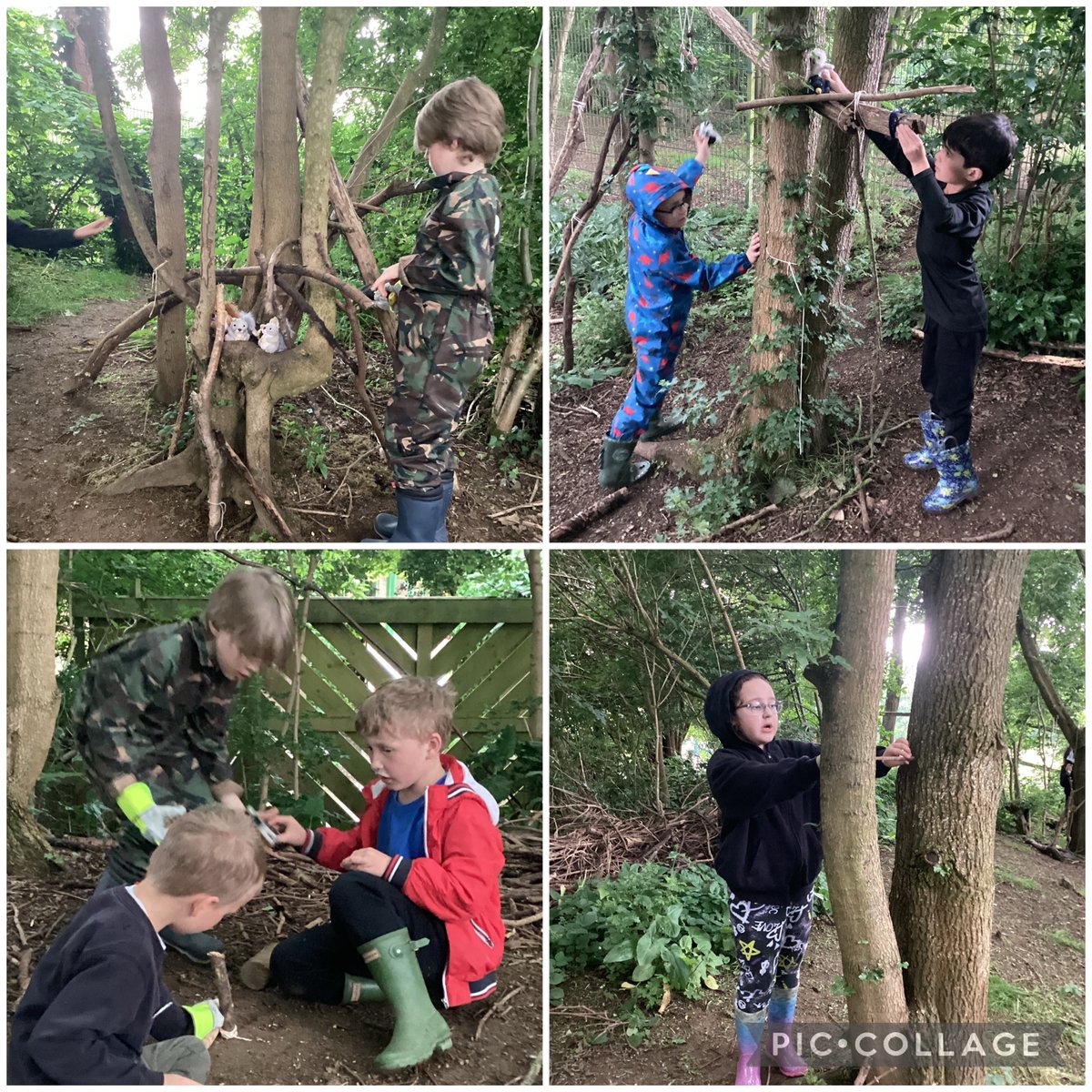 OWPS_forestschool (@owps_forest) on Twitter photo We had our first Forest School birthday today! We sang happy birthday around our seating circle. We also listened to the story, ‘Spike’s Best Nest’ and made our own animal dens. <a href="/OWPSchool/">Orton Wistow Primary</a> <a href="/OWPSturtles/">OWPSturtles</a> <a href="/OWPS_chameleons/">OWPS_chameleons</a> We had our first Forest School birthday today! We sang happy birthday around our seating circle. We also listened to the story, ‘Spike’s Best Nest’ and made our own animal dens. <a href="/OWPSchool/">Orton Wistow Primary</a> <a href="/OWPSturtles/">OWPSturtles</a> <a href="/OWPS_chameleons/">OWPS_chameleons</a>