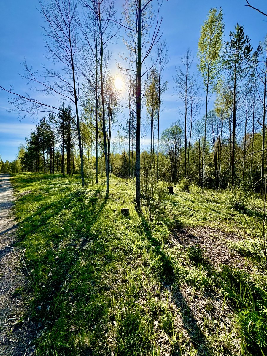 Hyvää huomenta.☺️ Another highly unusual, hot mid May Summer day in Vantaa. Expected to be 26c. ☀️ Have a wonderful Thursday everyone. 😊