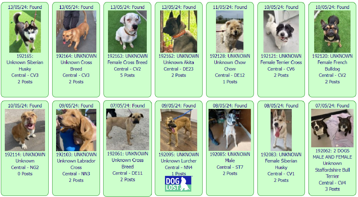 #FOUND #DOGS CENTRAL * May 13th ~ May 7th 2024 These #FoundDogs are on the @DogLost_UK site as being FOUND in our #Central area If you see your dog below go to doglost.co.uk and put the ID NUMBER (shown under the photo) into the search menu for more details