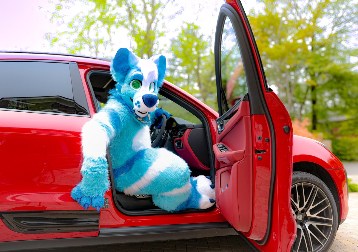 Join me for a drive! It’s a beautiful day to go for a touge run!

#FursuitEveryday #fursuit

📸 Myself
🐺🧵@WildDogWorks