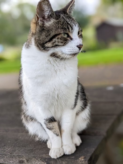 (Barbs) Betty and Colin had some very sad news yesterday. Their son-in-law Steve went to 🌈. I knew him and he was always so kind and happy. Why do bad things happen to such good humans?