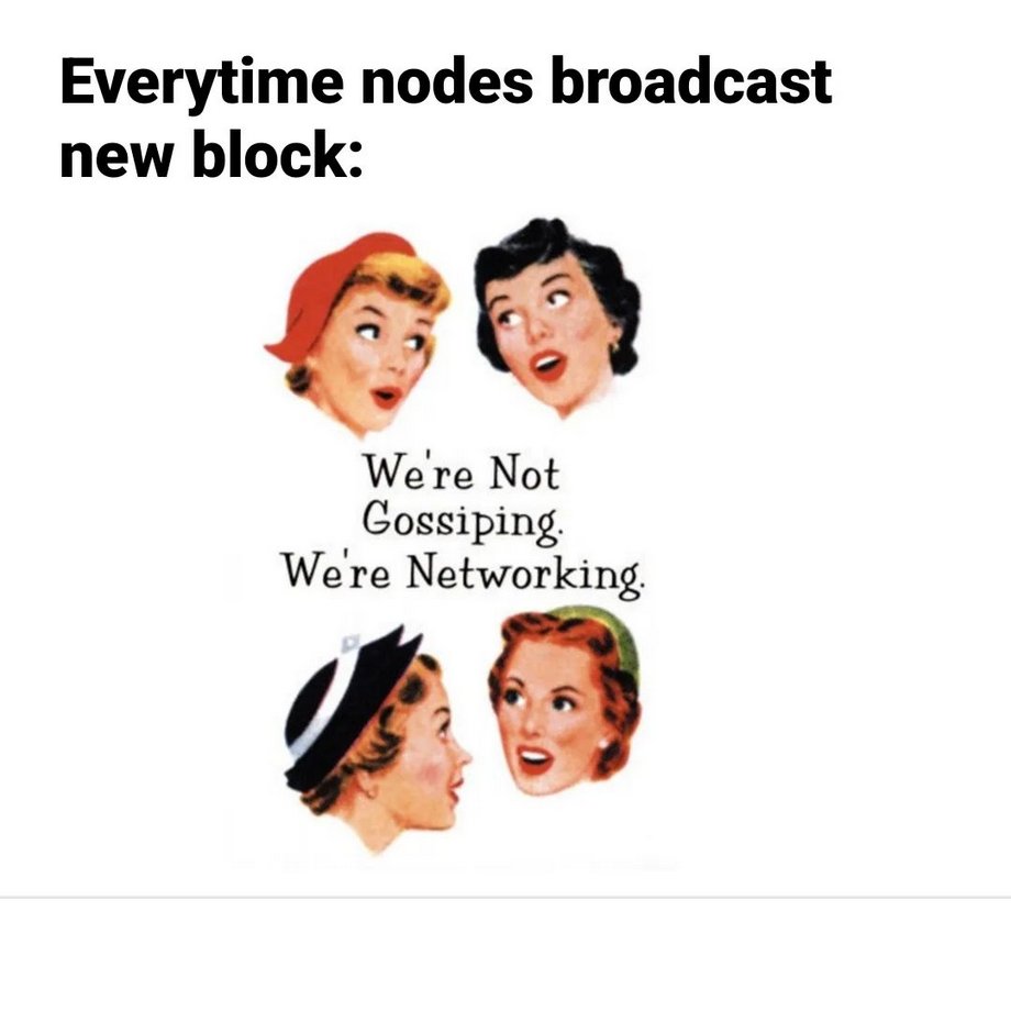 HodlThatBitcoin tweet media