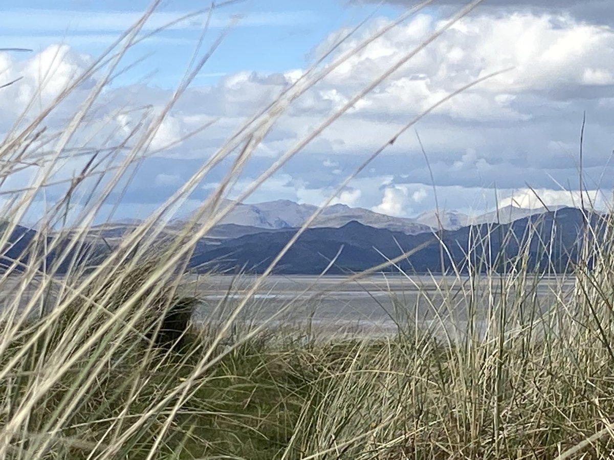 Happy birthday @cumbriawildlife 🥳! #morecambebay #nature