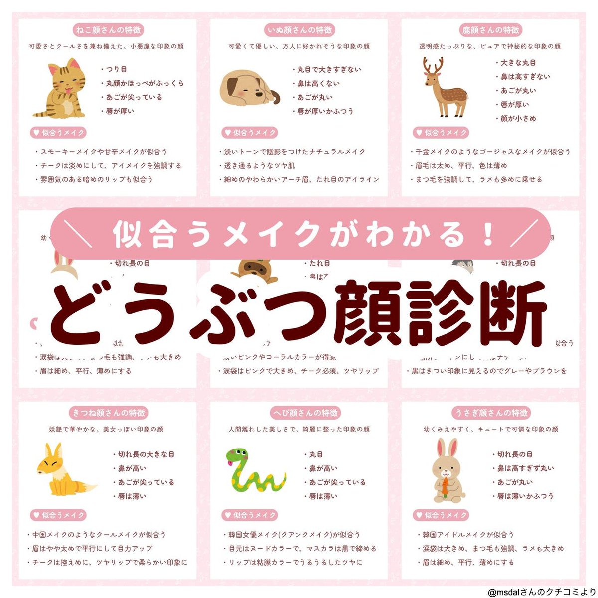 動物 顔 診断