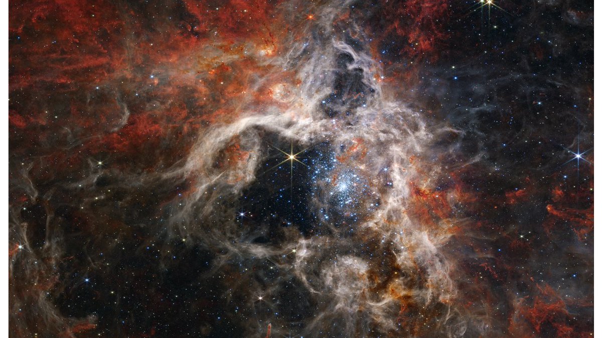 AdaTimeStamp's tweet image. GM from this beautiful universe to you!