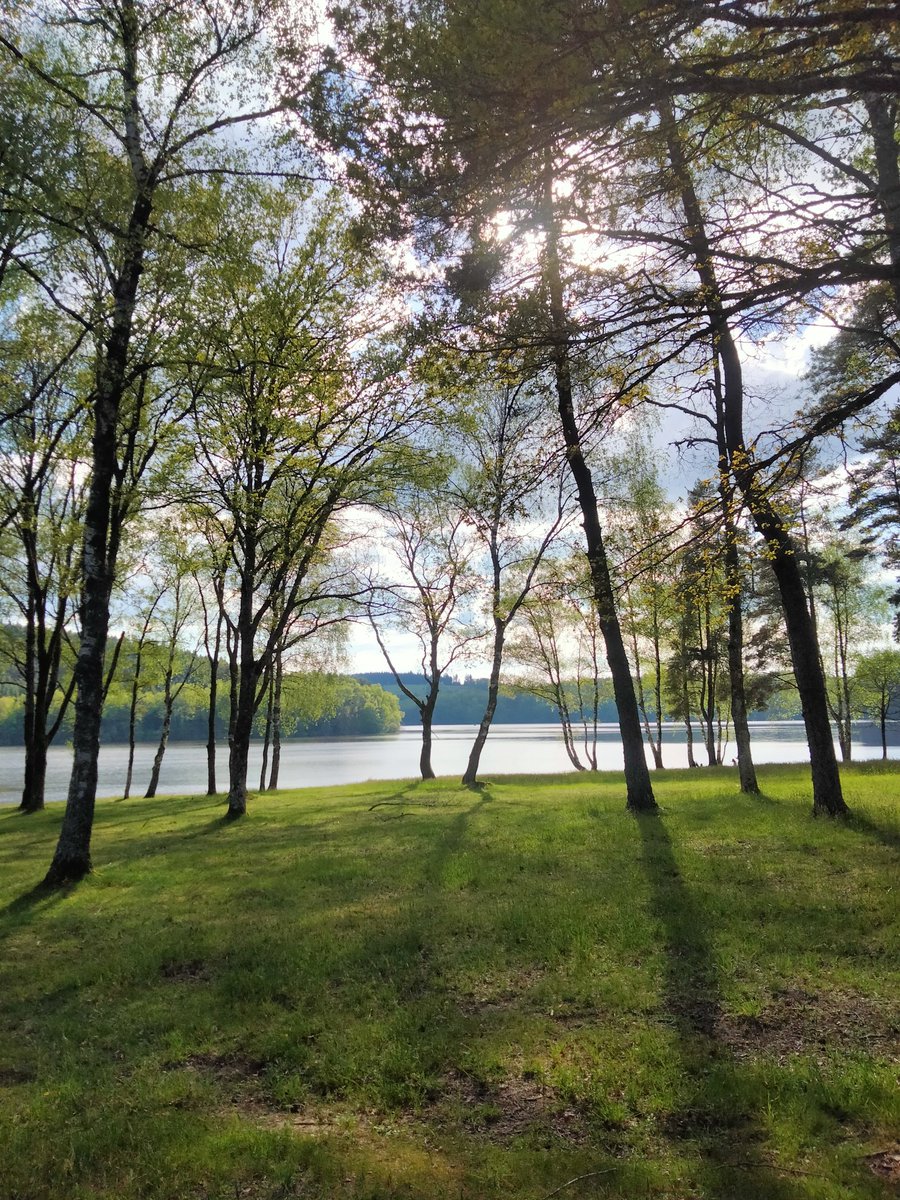 Un petit coin de paradis creusois, le lac de Lavaud-Gelade du côté de Saint-Marc à Loubaud 🌳🌲🌳Belle journée à toutes et tous depuis la #Creuse #Limousin #MagnifiqueFrance #FranceMagique #Ligue_des_Optimistes #Naturelovers #NaturePhotography