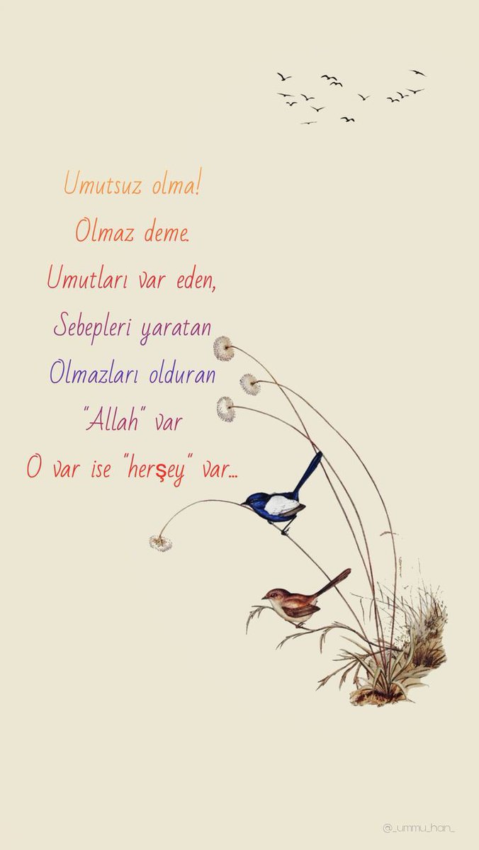 Her şeye, herkese rağmen 
'Umutsuz' olma...

#GüneBirNot ✒️