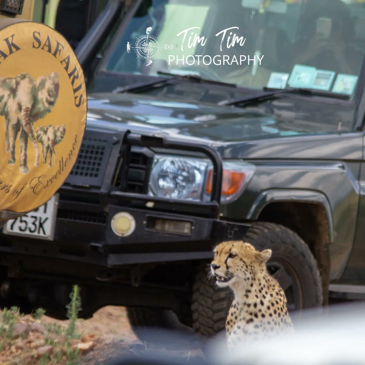 Must have been Cheetah week.
#tembeakenya
#themillennialguide 
#natgeomyshot 
#travelphotography 
#natgeoafrica 
#natgeoyourshot