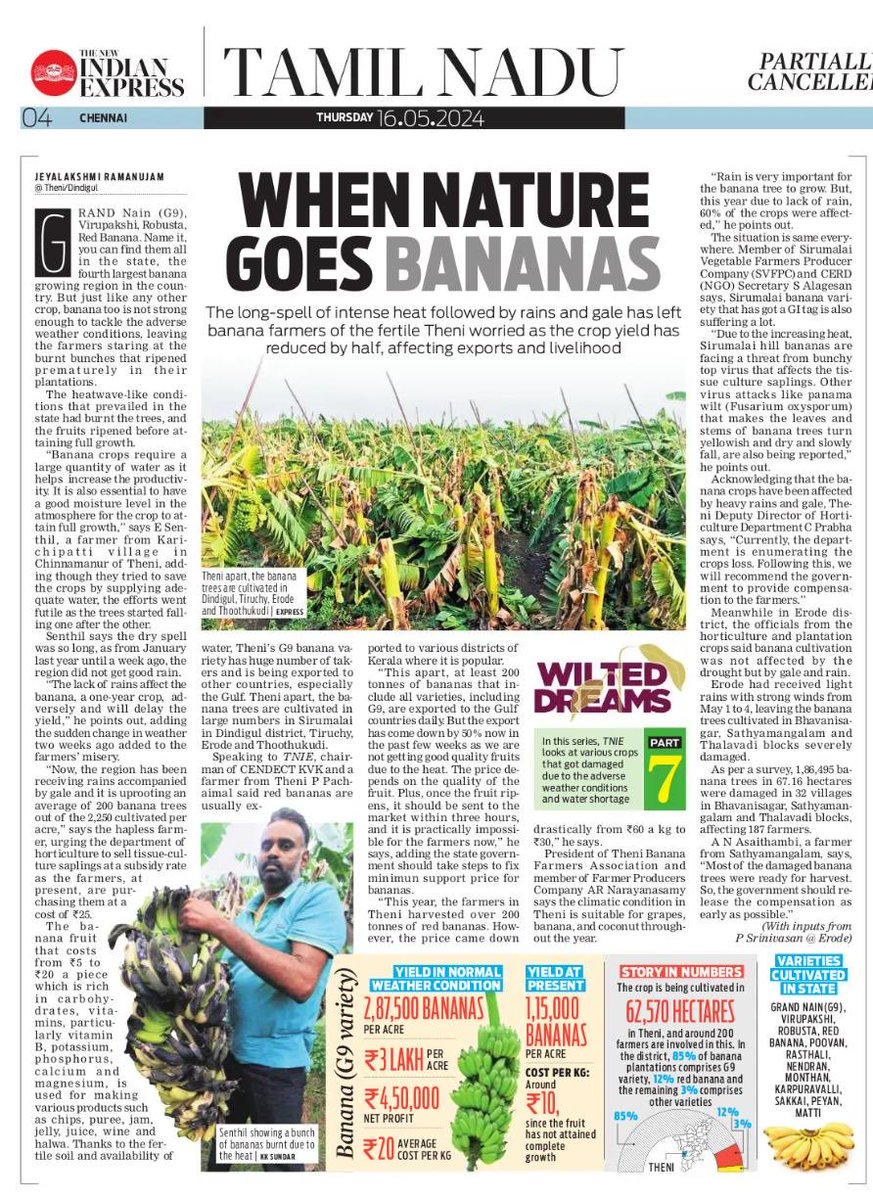 The long spell of intense heat followed by rains and gale have left banana farmers in the lurch. #TNIE continues the series on hapless farmers #WiltedDreams ⁦@jeyahirthi⁩ ⁦@NewIndianXpress⁩ ⁦@xpresstn⁩ newindianexpress.com/states/tamil-n…