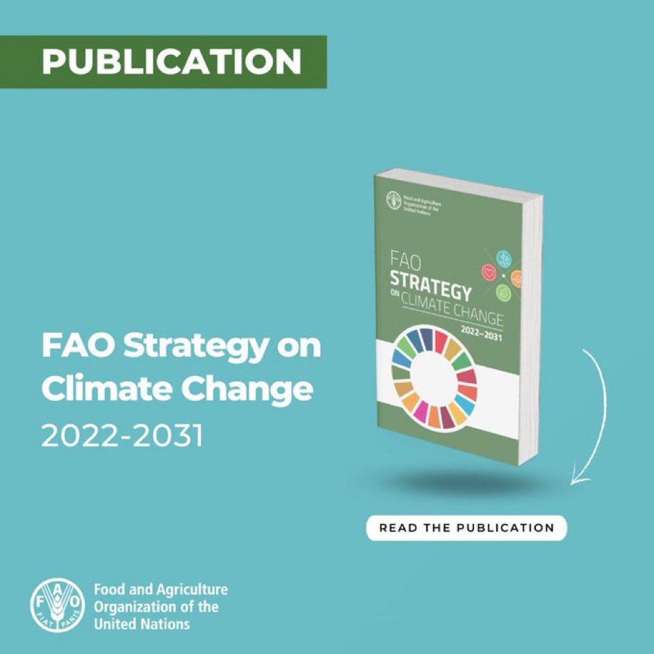 We cannot address the #ClimateCrisis or end hunger without decisive #ClimateAction in agriculture & food systems. @FAO's Climate Change Strategy supports countries with innovative solutions for adaptation & mitigation. 👉bit.ly/3E3oC3Y🌍