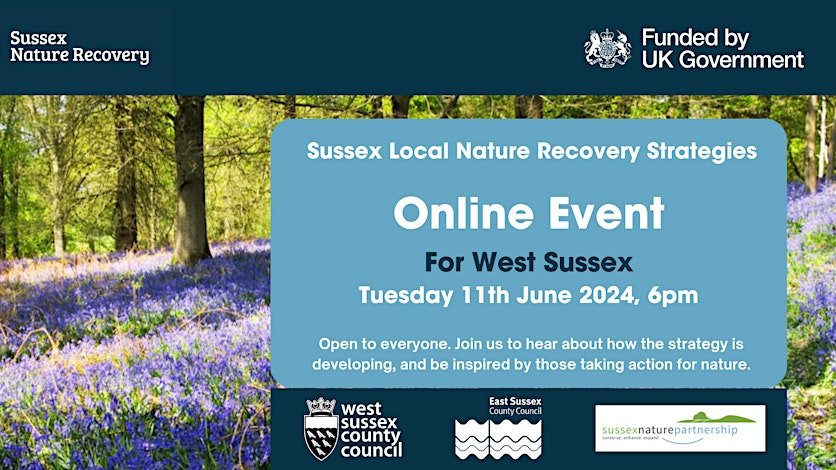 Join us for one of our webinars in June. They will feature educational and inspirational content to share what we’ve learnt so far, as well as motivating case studies from local people and organisations already taking action for nature in Sussex. #SussexNatureRecovery#SussexLNRS