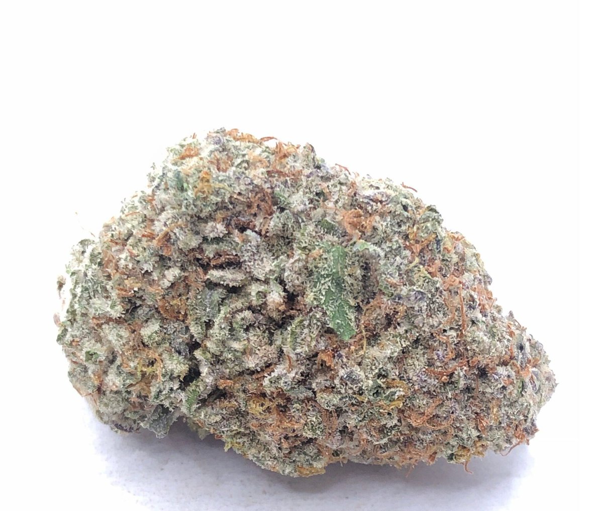 Apple MAC, also known as “Apple Miracle Alien Cookies” or “Apple M.A.C.,” is a slightly indica dominant hybrid strain (60% indica/40% sativa) created through crossing the iconic MAC 1 X Trophy Wife strains. #CouponCODE: 🌱 CBDHERB 🌱 soloherbs.com #cannabiscanada