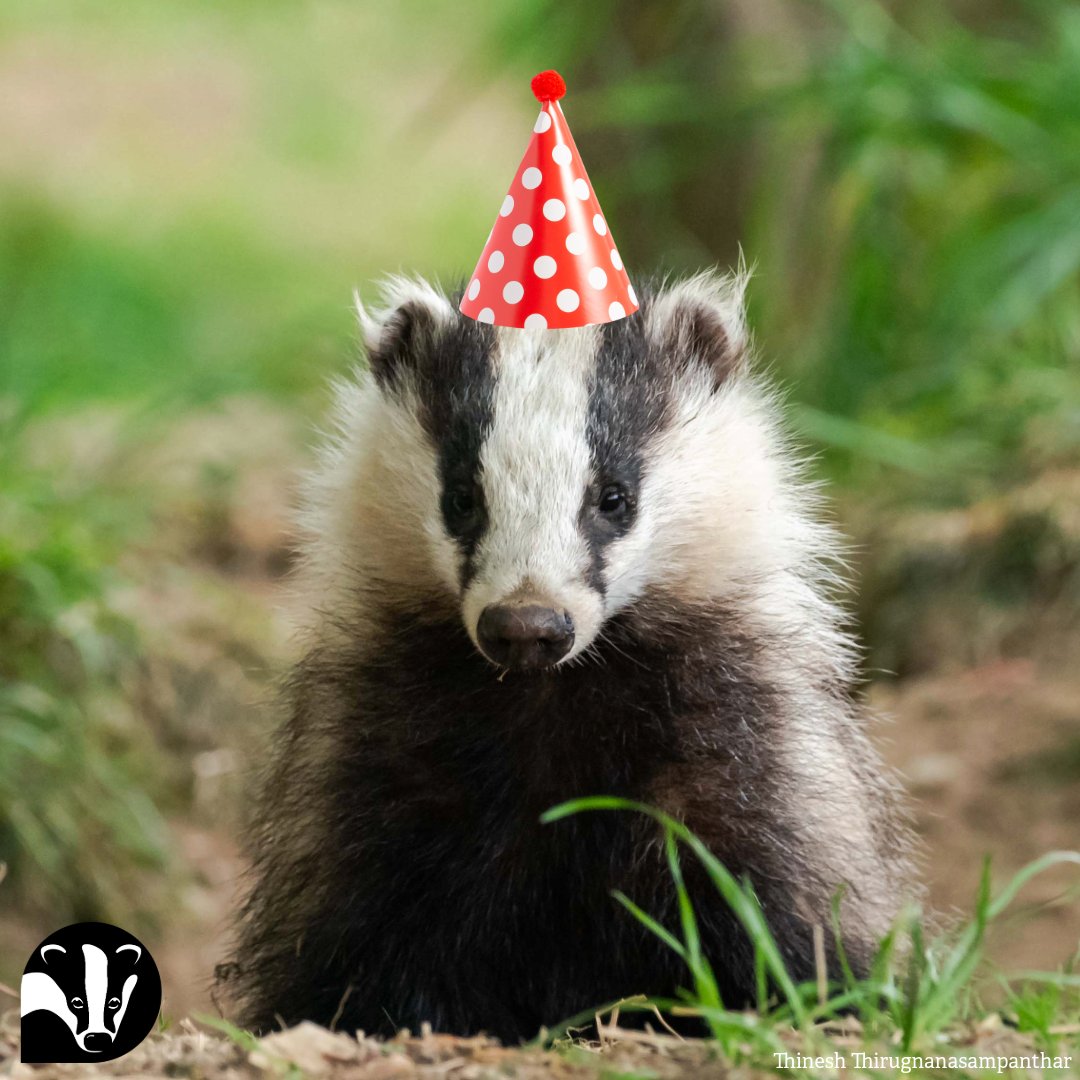 Channel your inner party animal for The Wildlife Trusts' 112th birthday! 🥳 We're proud to be one of 46 Wildlife Trusts across the UK! Collectively, we have been working to boost biodiversity and connect people with nature for over 100 years! @WildlifeTrusts