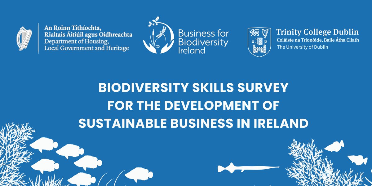 Calling all Irish businesses! As policy moves toward #NaturePositive business, we want to ensure all businesses have the support and skills they need. This 4-minute survey will inform research to create training options: ow.ly/Uhtb50RHFnz With @tcdublin and @NPWSIreland