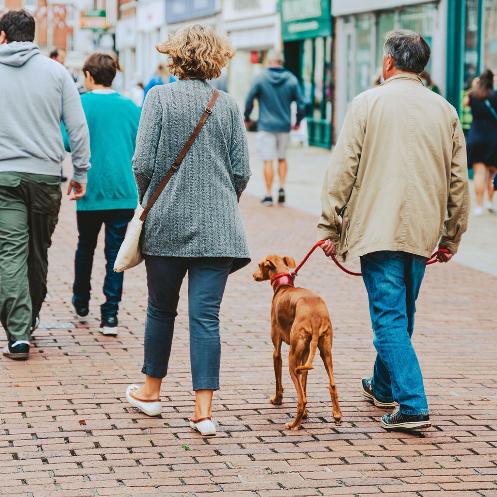 Heading to GoodWoof this weekend!  Chichester city centre is proud to be dog-friendly. Visit our  online directory Chichester Buzz for a list of dog friendly places to go with your dog for a bite to eat or a drink here in the city after the show: loom.ly/SMhbnC0