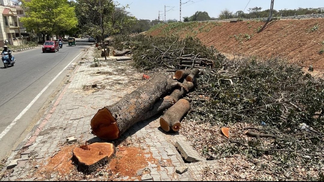 🚨 32,572 trees are to be axed for the Bengaluru suburban rail project in Bengaluru City. (K-RIDE)