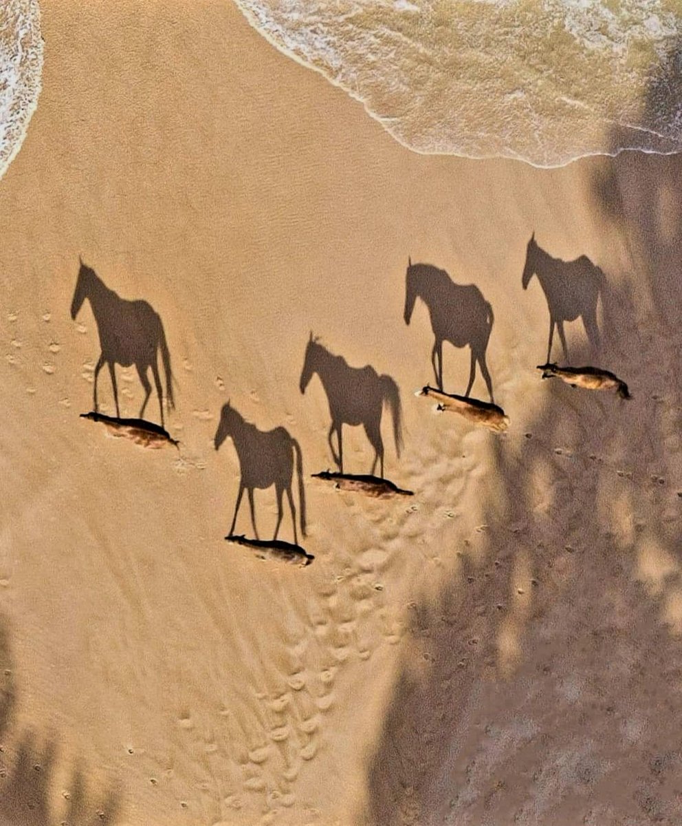 Thursday, shadows on shore 🤎🤍🌊 Good morning world @/🌐🌬🌞