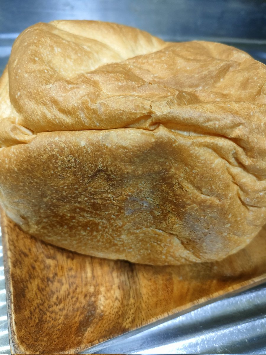 食パン完成。