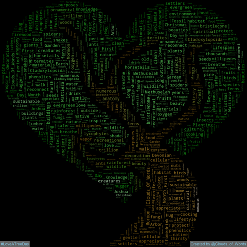 2024-05-16 is #LoveATreeDay
#WordCloud #WordCloudArt #DigitalArt #Art #Artwork #Abstract